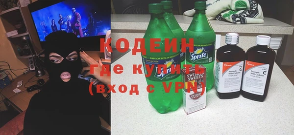 индика Дмитриев