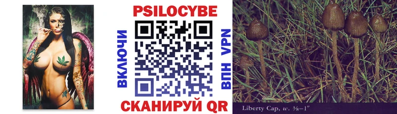 Галлюциногенные грибы MAGIC MUSHROOMS  цены наркотик  Отрадная 